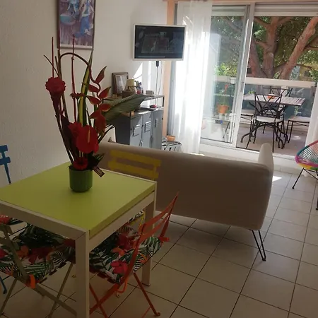 Magnifique Duplex Cap D Vue Port * Agde